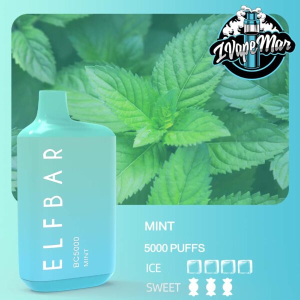 ELF BAR BC5000 & MINT